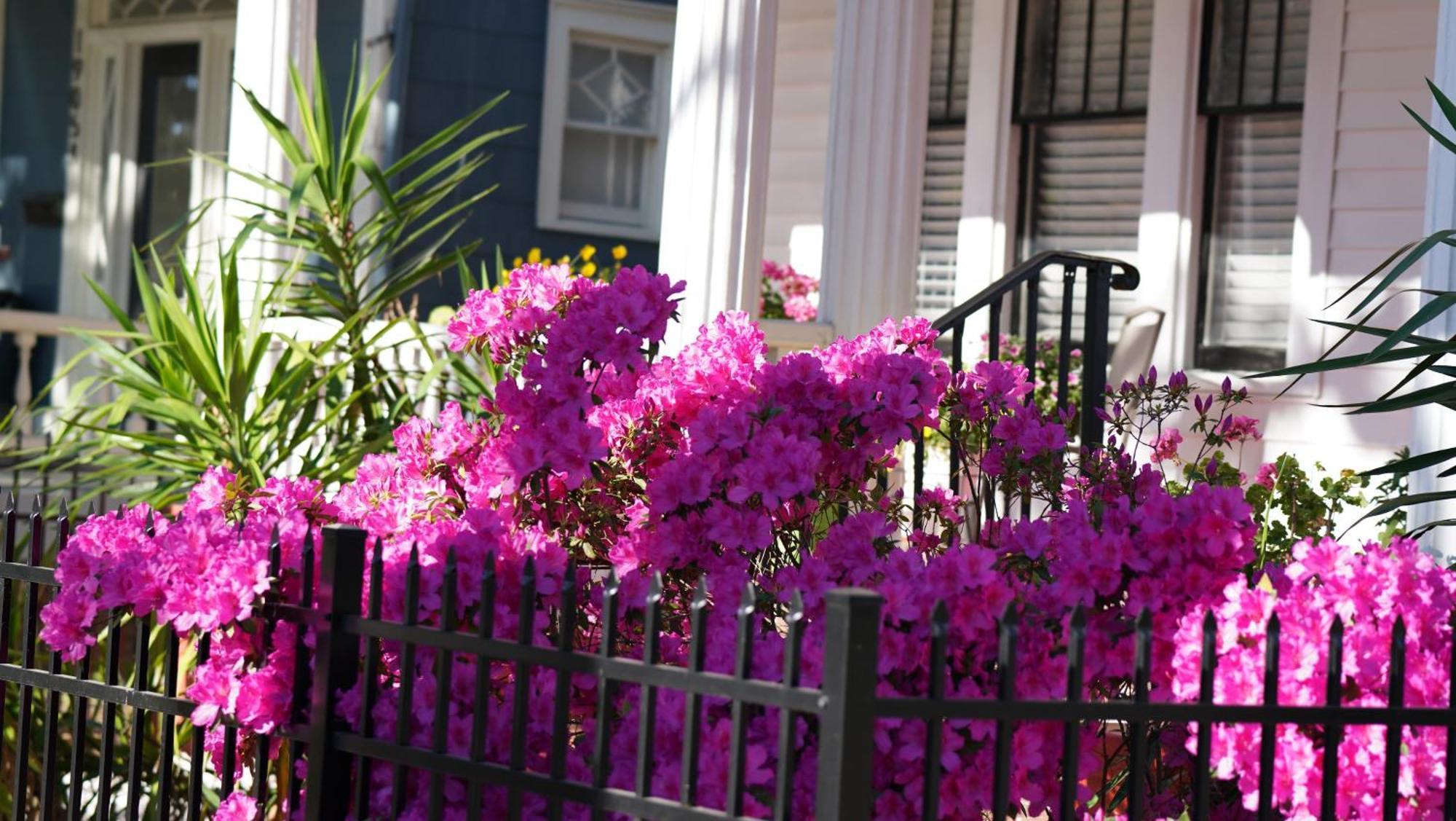 5 Bedroom Downtown Savannah Ga Luaran gambar